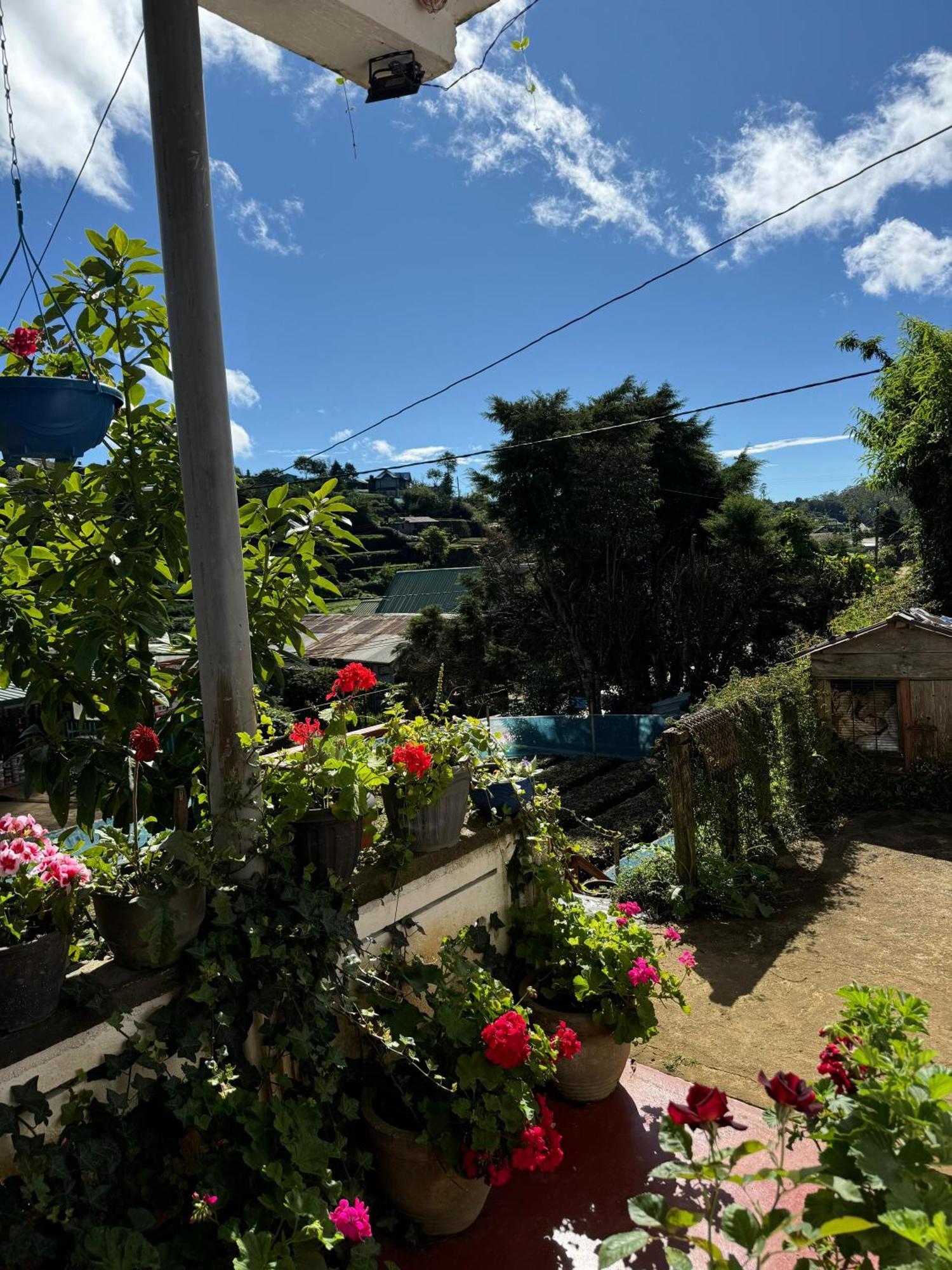Cozy Heaven Daire Nuwara Eliya Dış mekan fotoğraf